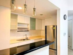 Maplewoods (D21), Condominium #571827851